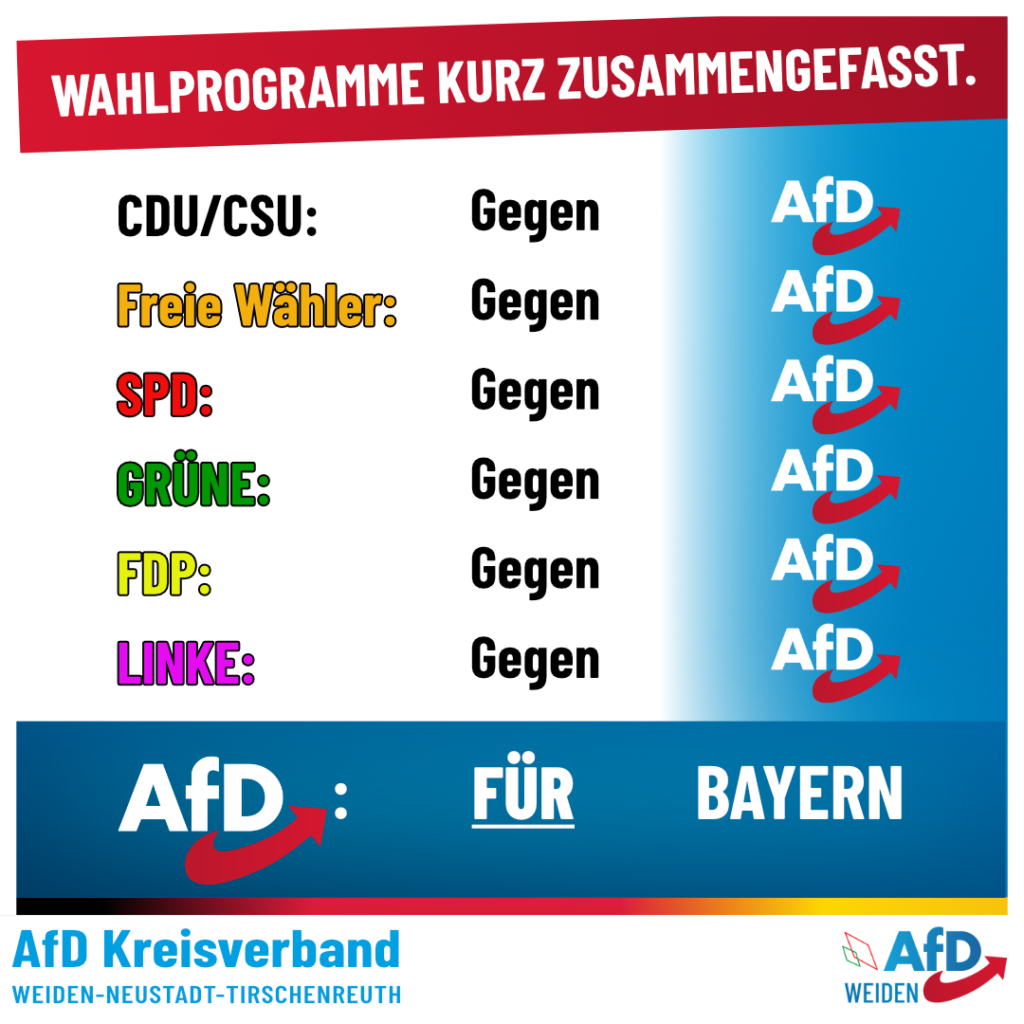 Wahlprogramme kurz erklärt AfD Weiden Kreisverband