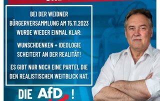 Manfred Schiller AfD - Energiewende ohne Sinn und Verstand
