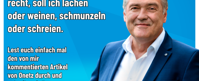 Manfred Schiller AfD - ONetz mal wieder