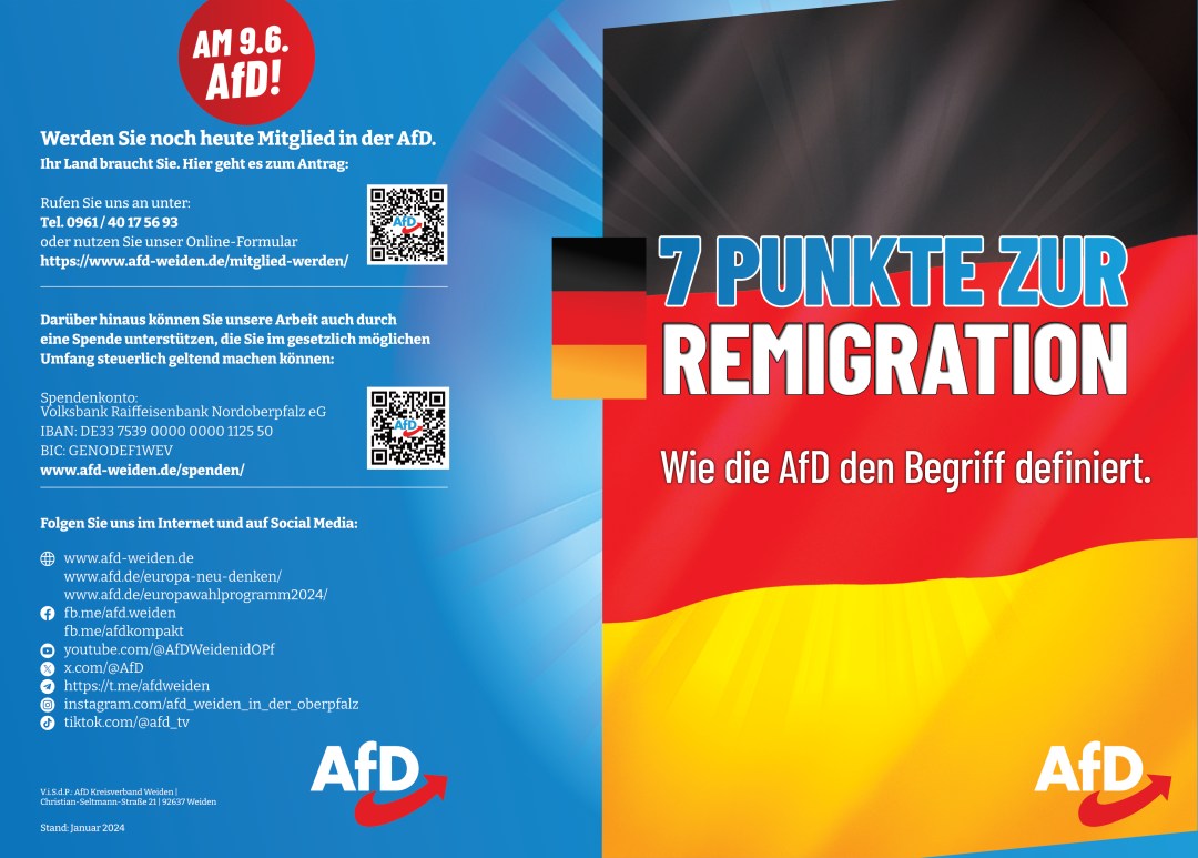 7 Punkte zur Remigration AfD KV Weiden