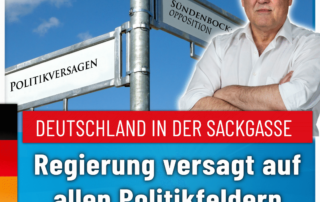 Manfred Schiller AfD - Politikversagen